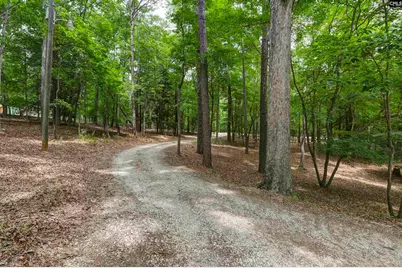 2031 Wash Lever Road, Little Mountain, SC 29075 - Photo 4