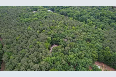 2031 Wash Lever Road, Little Mountain, SC 29075 - Photo 50