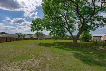 307 Bush Clover Way, Leesville, SC 29070 - Photo 32