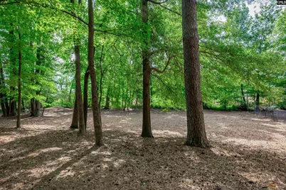 407 Hampton Forest Drive, Columbia, SC 29209 - Photo 48