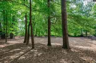 407 Hampton Forest Drive, Columbia, SC 29209 - Photo 48