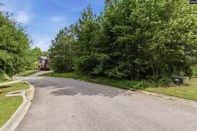 612 Winding Hickory Court, Blythewood, SC 29016 - Photo 4