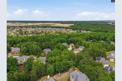 612 Winding Hickory Court, Blythewood, SC 29016 - Photo 8