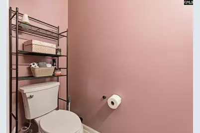 1017 Congaree Pointe Drive, Columbia, SC 29209 - Photo 8