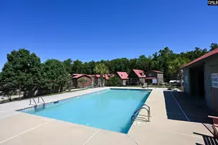 217 Marina Cove Dr, Gilbert, SC 29054 - Photo 36
