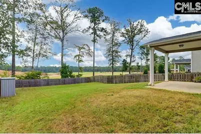1228 Cypress Valley Drive, Chapin, SC 29036 - Photo 4