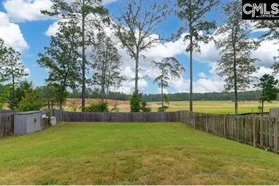 1228 Cypress Valley Drive, Chapin, SC 29036 - Photo 6