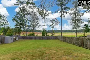 1228 Cypress Valley Dr, Chapin, SC 29036 - Photo 6