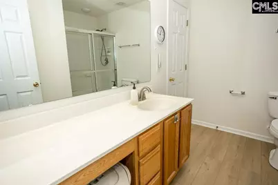 271 Richmond Farm Circle, Lexington, SC 29072 - Photo 18