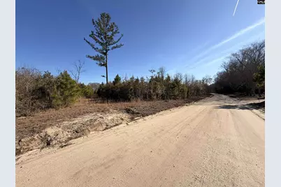 0 Proctor Road, Cope, SC 29038 - Photo 10