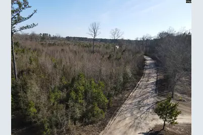 0 Proctor Road, Cope, SC 29038 - Photo 6
