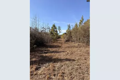 0 Proctor Road, Cope, SC 29038 - Photo 8