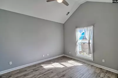 1420 Saugus Court, Chapin, SC 29036 - Photo 18