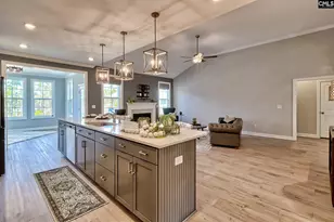 1420 Saugus Ct, Chapin, SC 29036 - Photo 8