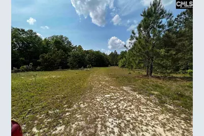 410 Boy Scout Road Road #Parcel B, Gaston, SC 29053 - Photo 2