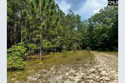 410 Boy Scout Road Road #Parcel B, Gaston, SC 29053 - Photo 4