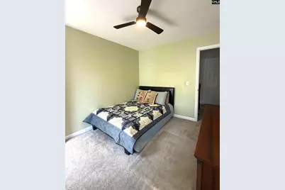140 Rum Gully Lane, Chapin, SC 29036 - Photo 38