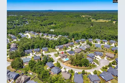 646 Dutchmans Trail, Irmo, SC 29063 - Photo 54