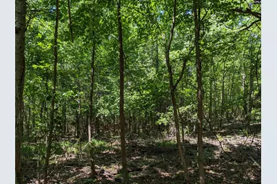 Jewel Drive, Winnsboro, SC 29180 - Photo 10