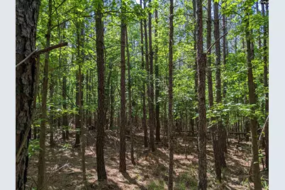 Jewel Drive, Winnsboro, SC 29180 - Photo 18