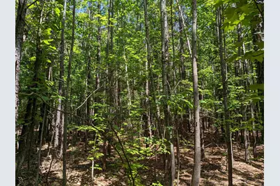 Jewel Drive, Winnsboro, SC 29180 - Photo 6