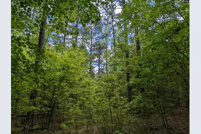 Syrup Mill Road, Ridgeway, SC 29130 - Photo 26