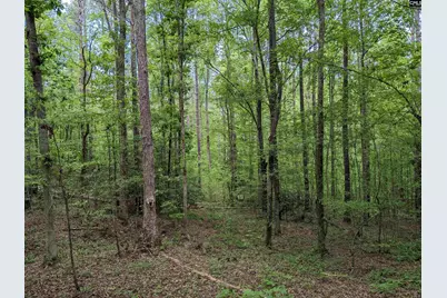 Syrup Mill Road, Ridgeway, SC 29130 - Photo 12