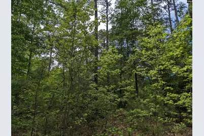 Syrup Mill Road, Ridgeway, SC 29130 - Photo 20