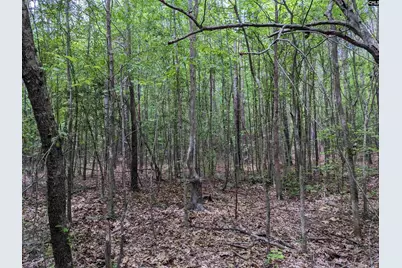 Syrup Mill Road, Ridgeway, SC 29130 - Photo 2