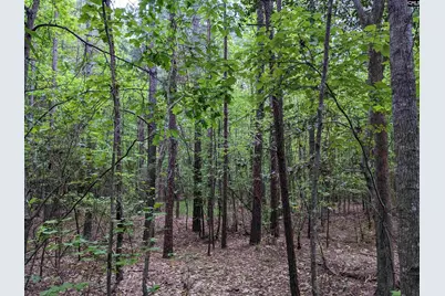 Syrup Mill Road, Ridgeway, SC 29130 - Photo 1