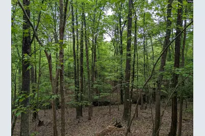 Syrup Mill Road, Ridgeway, SC 29130 - Photo 24