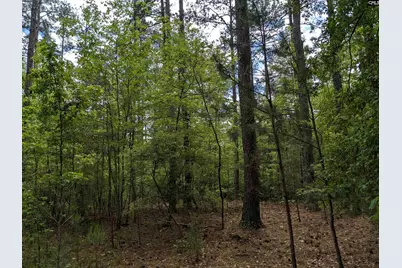 Syrup Mill Road, Ridgeway, SC 29130 - Photo 8