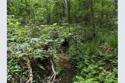 Syrup Mill Road, Ridgeway, SC 29130 - Photo 16