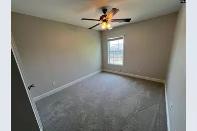 250 Meadow Saffron Drive, Lexington, SC 29073 - Photo 16
