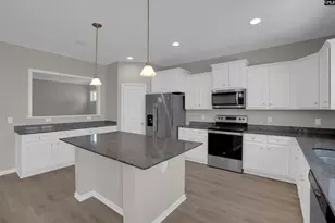 32 Texas Black Way, Elgin, SC 29045 - Photo 6