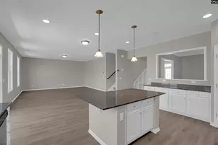 32 Texas Black Way, Elgin, SC 29045 - Photo 10