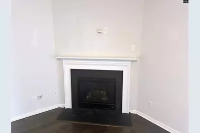 412 Maria Posada, Chapin, SC 29036 - Photo 6