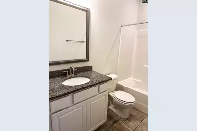 412 Maria Posada, Chapin, SC 29036 - Photo 20