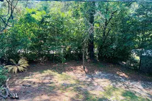 1801 Carter, Columbia, SC 29204 - Photo 44