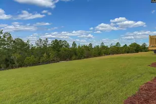 523 Blue Jay Wy, Lexington, SC 29073 - Photo 54