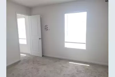 747 Spring Cress Drive, Lexington, SC 29073 - Photo 12