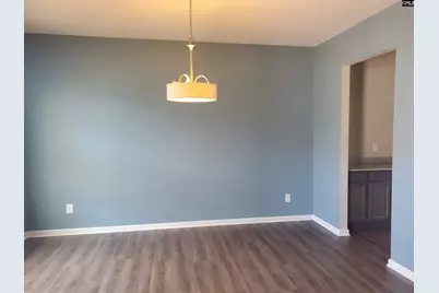 747 Spring Cress Drive, Lexington, SC 29073 - Photo 2