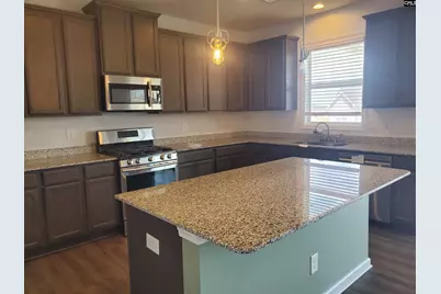747 Spring Cress Drive, Lexington, SC 29073 - Photo 6