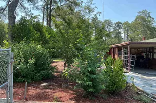 3815 Webb Ct, Columbia, SC 29204 - Photo 12