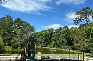 308 Kelsey Glen Ct, Lexington, SC 29072 - Photo 86