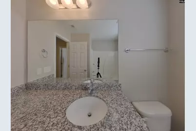 919 Dovefield Lane, Lexington, SC 29073 - Photo 14