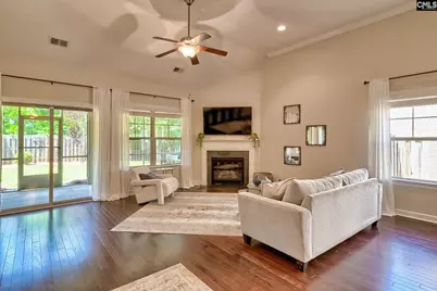 724 Xander Way, Chapin, SC 29036 - Photo 4