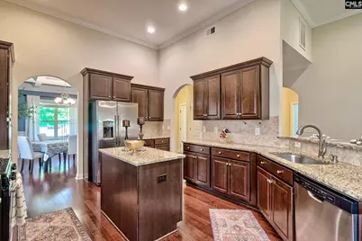 724 Xander Way, Chapin, SC 29036 - Photo 6