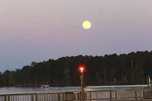 1145 Indian Summer Point, Chapin, SC 29036 - Photo 68
