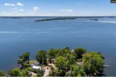 1145 Indian Summer Point, Chapin, SC 29036 - Photo 58